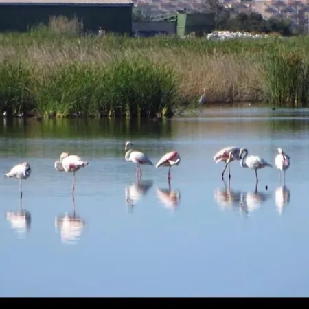 Junto Al Mar Con Wifi Y Piscina Apartamento Sagunto